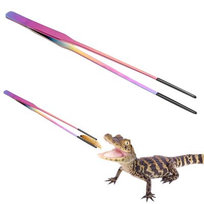 Stainless Steel Feeding Tongs for Reptiles