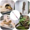 Stainless Steel Feeding Tongs for Reptiles view 4