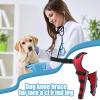 Generic Orthopedic Support for Dogs, Adjustable Support Bandage view 3