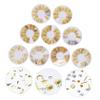 TOGEVAL Nail Art Studs DIY Nail Accessory Set, White Zinc Alloy and Plastic, for Professionals and Beginners view 3
