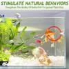 Betta Aquarium Toy Set with Mirror view 2