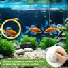 Betta Aquarium Toy Set with Mirror view 4