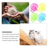 DECOMELODY 4-Pack Exercise Wheels for Hamsters and Chinchillas view 3