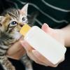 Kitten Feeding Bottle Set - 60 ml PP Baby Bottle with Brush and Multiple Nipples view 3