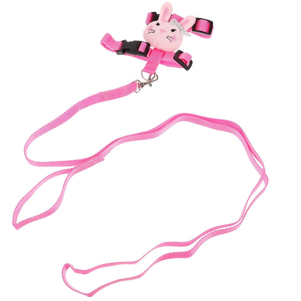 LOLIPPYY Ferret Harness and Rabbit Leash Set