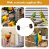 Parrot Balance Bike view 4