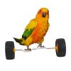 Balance Toy - Parrot Training Balance Roller view 1
