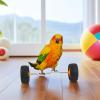 Balance Toy - Parrot Training Balance Roller view 3