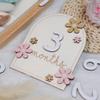 Xanewza Wooden Baby Milestone Cards, 1–12 Month Milestones view 3