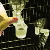 Nbbwwu Bird Water Dispenser view 2