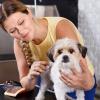 Dog Comb, Hair Removal & Dematting Brush view 3