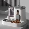 Automatic Food Dispenser with Spill-Proof Water and Treat Accessory view 2