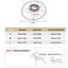 Soft Protective Dog Collar view 4