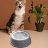 Pet Water Bowl for Slow, Spill-Resistant Drinking view 2