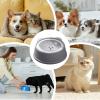 Pet Water Bowl for Slow, Spill-Resistant Drinking view 4