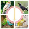 Heated Bird Perch - USB Bird Heater view 4