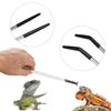 2-Pack Reptile Feeding Tongs, 27 cm Stainless Steel view 3