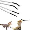 2-Pack Reptile Feeding Tongs, 27 cm Stainless Steel view 4