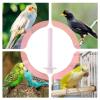 Dreuhuing Bird Perch with USB Heating view 4