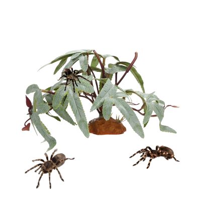 Natural-Looking Terrarium and Aquarium Plant Decor