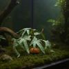 Natural-Looking Terrarium and Aquarium Plant Decor view 2
