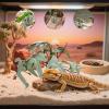 Natural-Looking Terrarium and Aquarium Plant Decor view 3