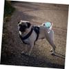 HOODANCOS Portable Retractable Dog Leash, Extendable Nylon Rope, Blue Round Handle, Outdoor Walking Leash for Small and Medium Dogs view 3