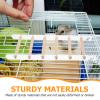 TOYANDONA Wooden Hanging Cage Ladder for Small Animals and Birds view 3