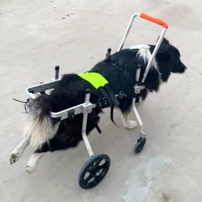 Adjustable Dog Wheelchair for Disabled Dogs, Injured or Lame Dogs, with Front and Rear Leg Support