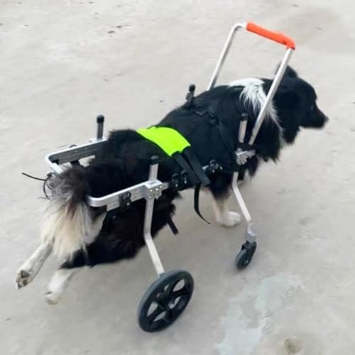 Adjustable Dog Wheelchair for Disabled Dogs, Injured or Lame Dogs, with Front and Rear Leg Support