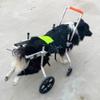 Adjustable Dog Wheelchair for Disabled Dogs, Injured or Lame Dogs, with Front and Rear Leg Support view 1