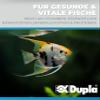Dupla DuplaRin Granulate L - 85g view 3