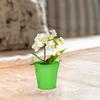 6 Small Tinplate Buckets for Succulents, Colorful and Child-Friendly view 4