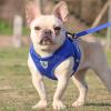 Adjustable Mesh Dog Harness with Reflective Design view 2