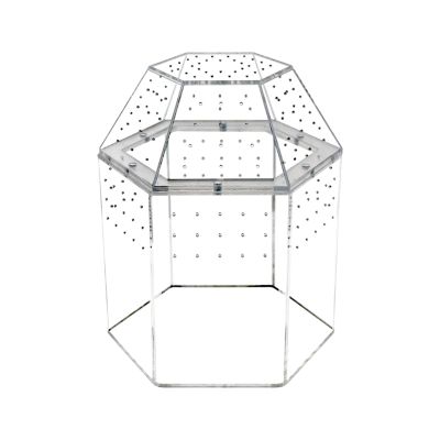 Dualoai Reptile Terrarium for Jumping Spiders and Scorpions