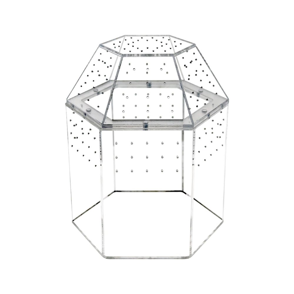Dualoai Reptile Terrarium for Jumping Spiders and Scorpions