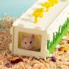 KiBcsLic Small Animal Tunnel view 3