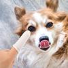 ERINGOGO 10-Piece Finger Toothbrush Set for Dogs and Cats view 3