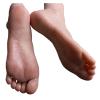 JVDDI Silicone Female Foot Model, ZH36A (All Bones, Right Foot) view 1