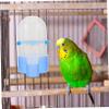 KOMBIUDA Automatic Bird Water and Feeder Dispenser view 3