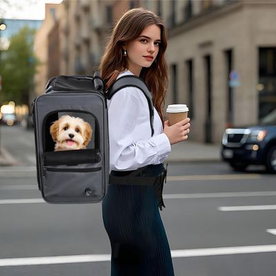 EliteField Deluxe Airline-Approved Pet Backpack Carrier for Small Pets