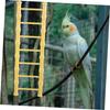 Plastic Bird Ladder Toy, Yellow, Smooth and Safe view 4