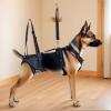 Adjustable Dog Support and Lifting Harness view 3