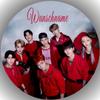 STRAY KIDS Edible Fondant Cake Topper, 20 cm, Customizable with Name view 1