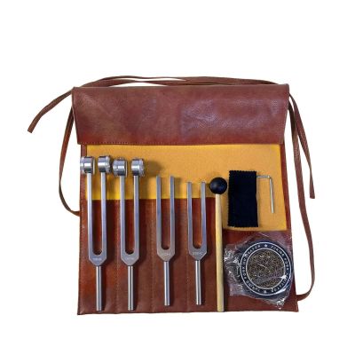 Tuning Fork Set with Activator, 128 Hz, 136.1 Hz, 256 Hz, 384 Hz