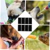 Sosoport 8-Pack Sponge Filters for Pet Water Dispensers view 4