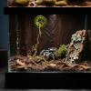 40 cm Jumping Spider Enclosure, Magnetic Leather Hide Box with Climbing Vines for Geckos, Lizards, Frogs, Beetles and Crickets view 2