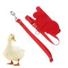 Restokki Pet Duck Chicken Goose Traction Rope Adjustable Harness Leash (Red) view 2