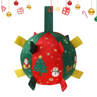 Interactive Dog Chew Ball Toy for Teething and Play