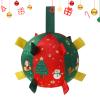 Interactive Dog Chew Ball Toy for Teething and Play view 1